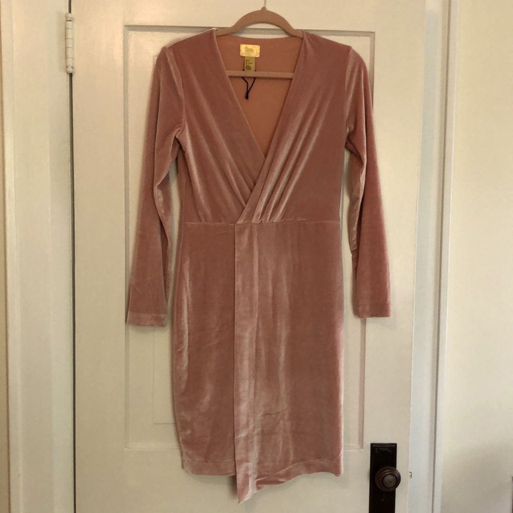 H&M Blush Velvet Dress